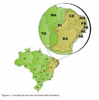 SEMIÁRIDO - Localização no Brasil