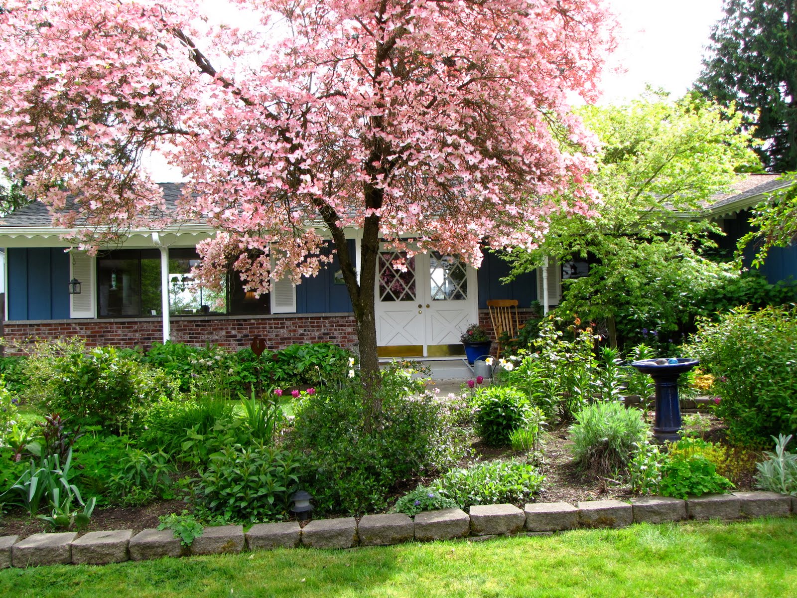 A Gardener in Progress: The front yard in Spring.