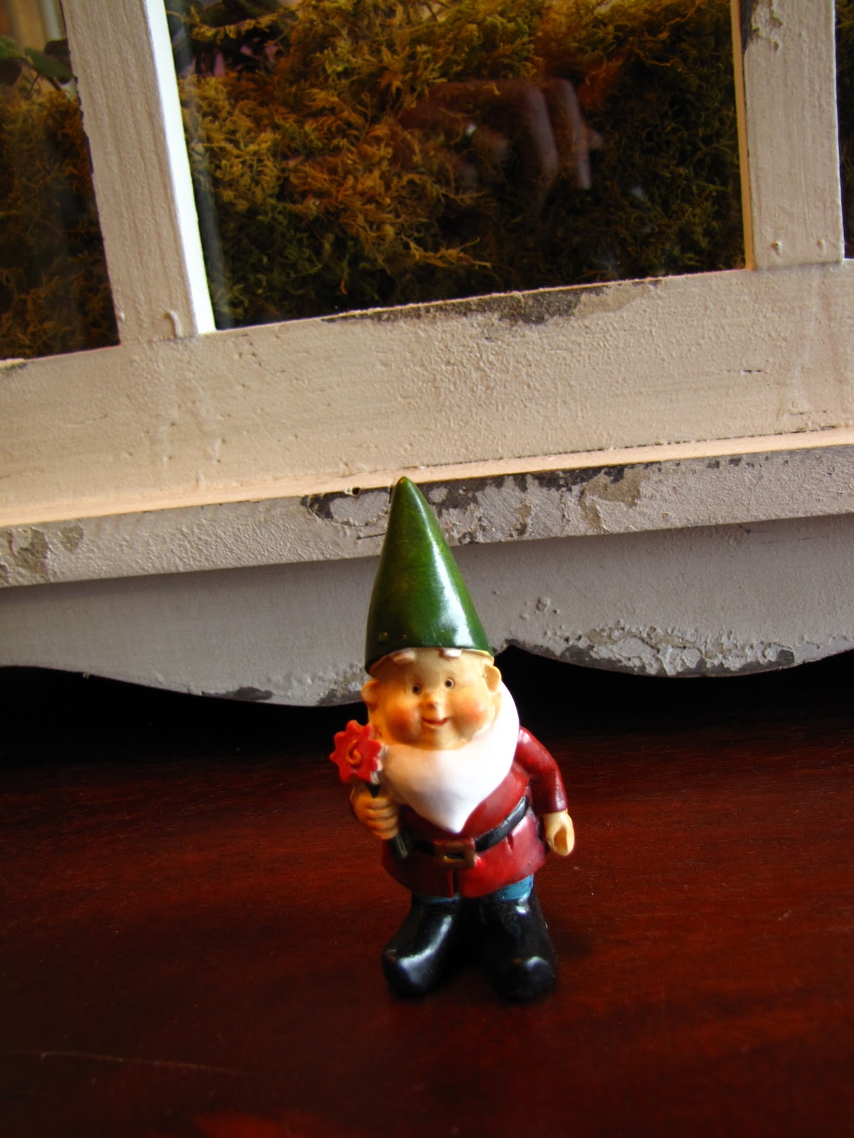 terrarium gnomes