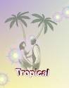 ALEGRIA TROPICAL