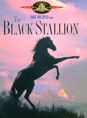 [black+stallion.JPG]