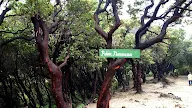 Cerita Legenda Terjadinya Gunung Tangkuban Perahu