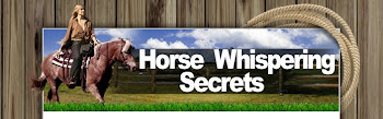 Horse Whispering Secrets