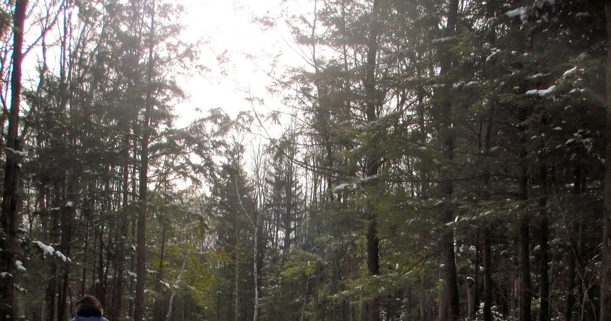 Skiglisse Parc du Domaine Vert