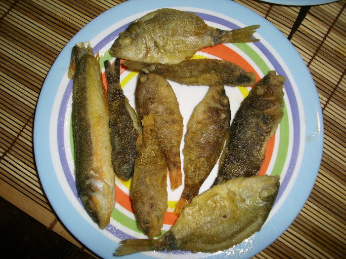 PEIXETS