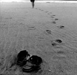 Caminante no hay camino, se hace camino al andar, al andar se hace camino