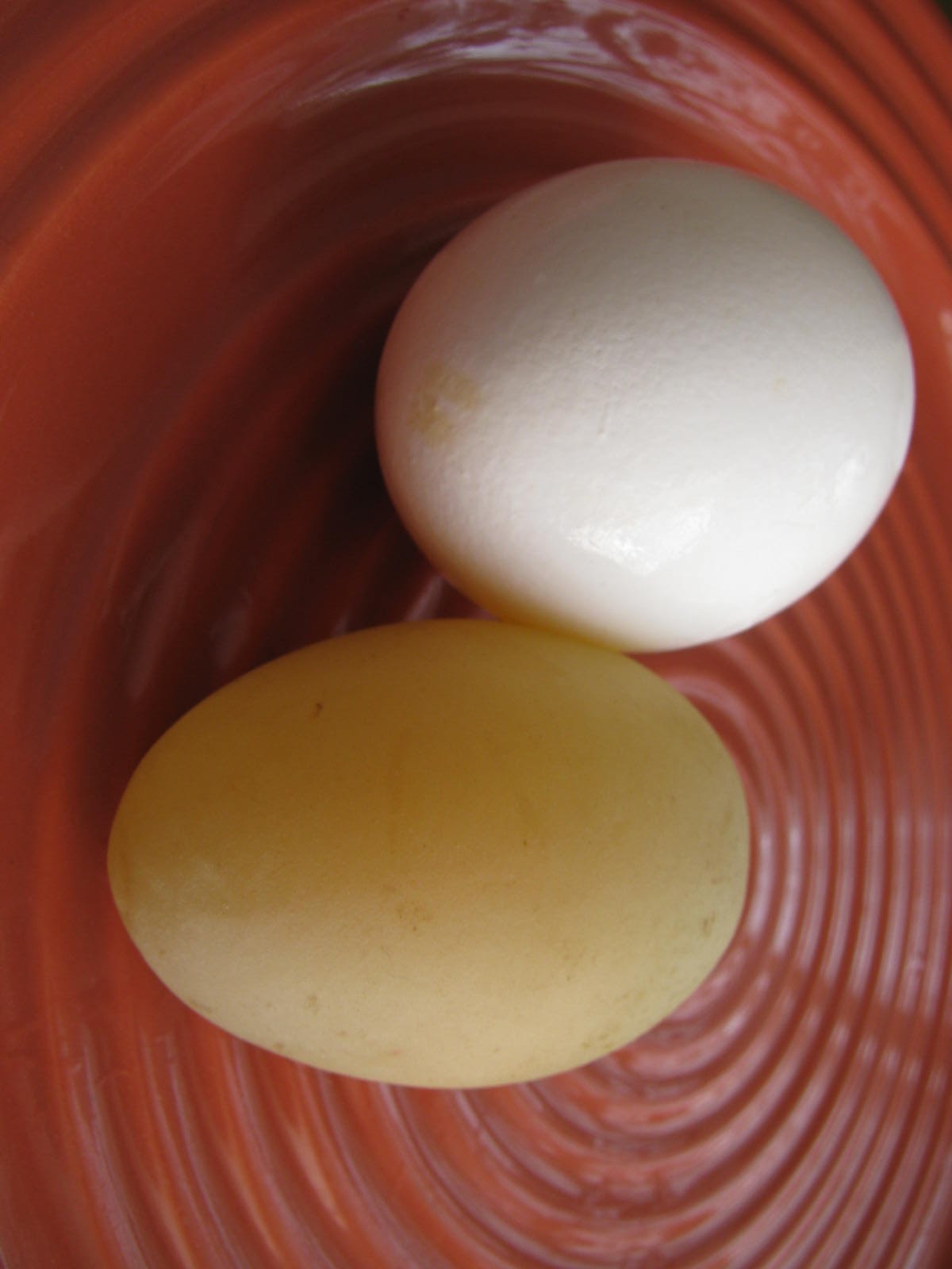 Living Simply and Deliberately FOTO FRIDAY Rubber Egg?!