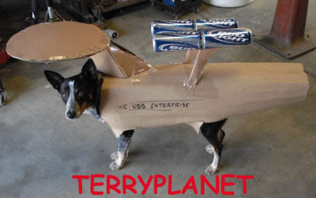 Terryplanet