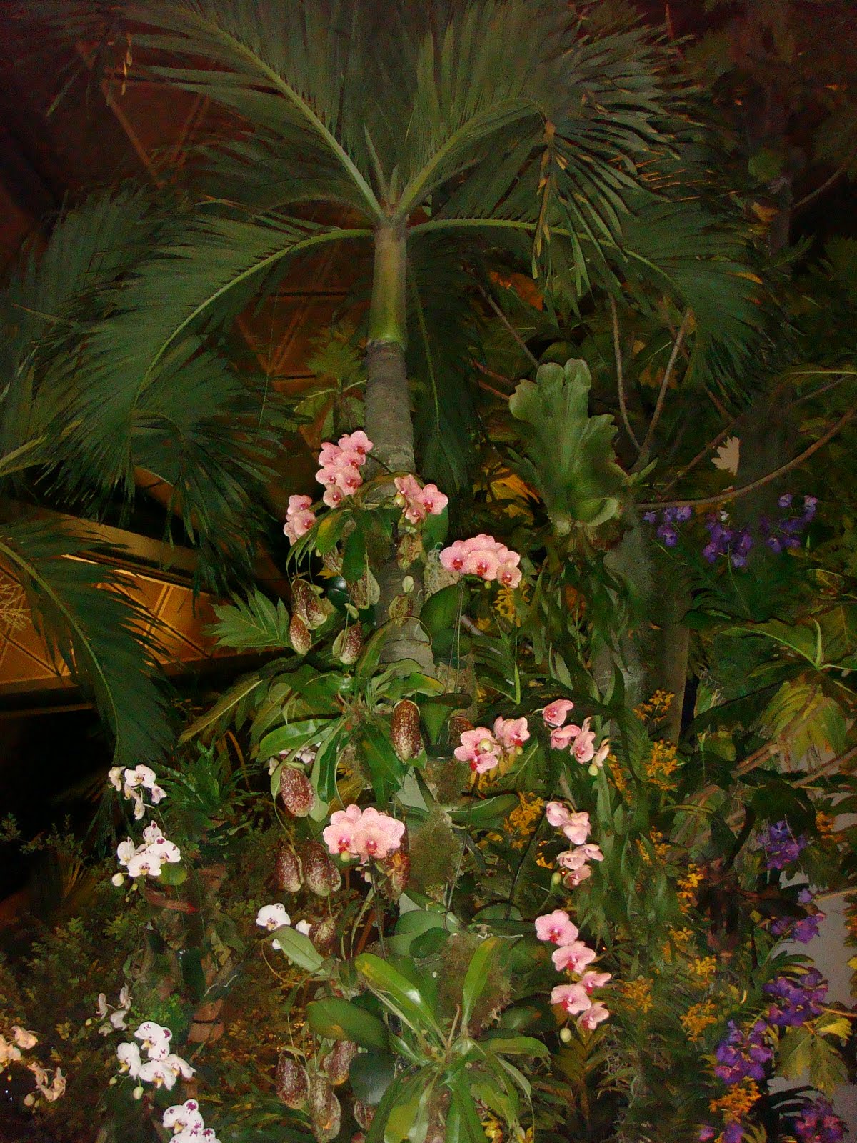 Gardening Dream Inspire SGF Putting Plants Together