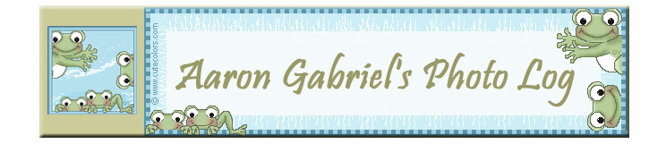 Aaron Gabriel