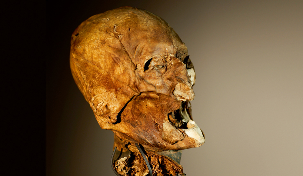Image result for france's king henry iv skull