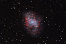 The Crab Nebula taken by Stefano Compani & David Manca