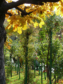 Http 2 Bp Blogspot Com Weckcmsleme Unzf 2oomwi Aaaaaaabb M