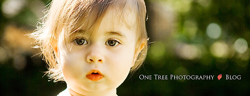 One Tree Photography