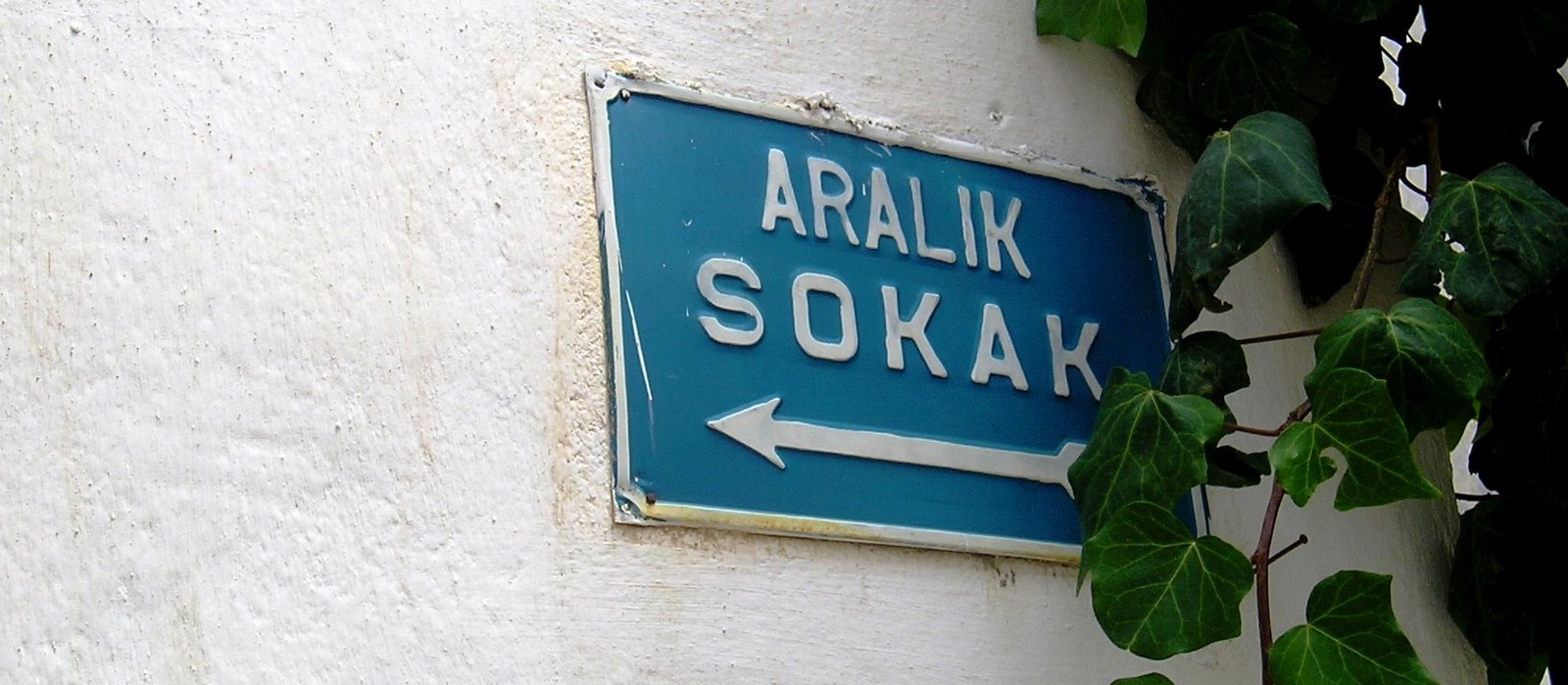 Aralik sokak