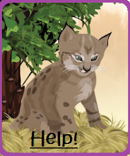 Adoptar