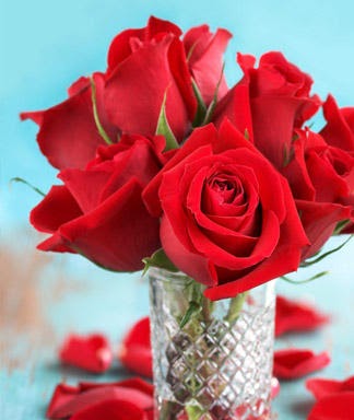 how to keep a rose forever with hairspray how to keep a rose forever with hairspray