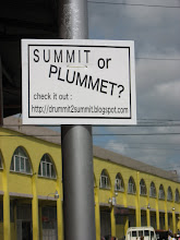Summit or Plummit?