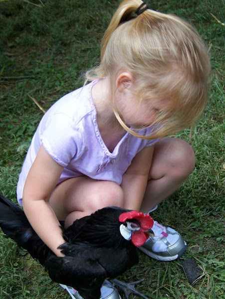 Emma picking up the rooster