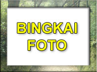 Bingkai Foto