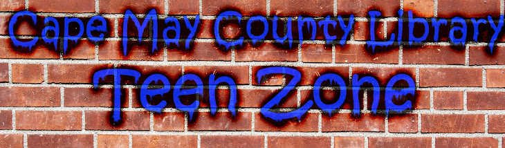 Cape May County Library Teen Zone