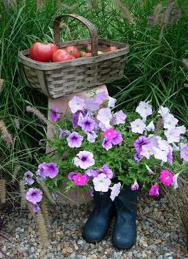 Windfall's Summer 2010 Offerings