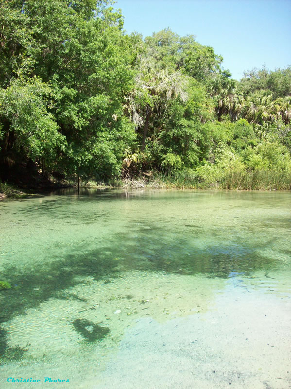 Dixie Highway Swimming at Lithia Springs, Florida