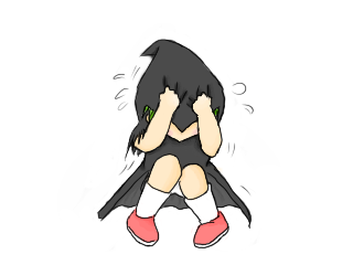 元グローボ記者、ストレスでボルソナロ政権を離脱