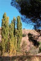 La industria natural del<br class=