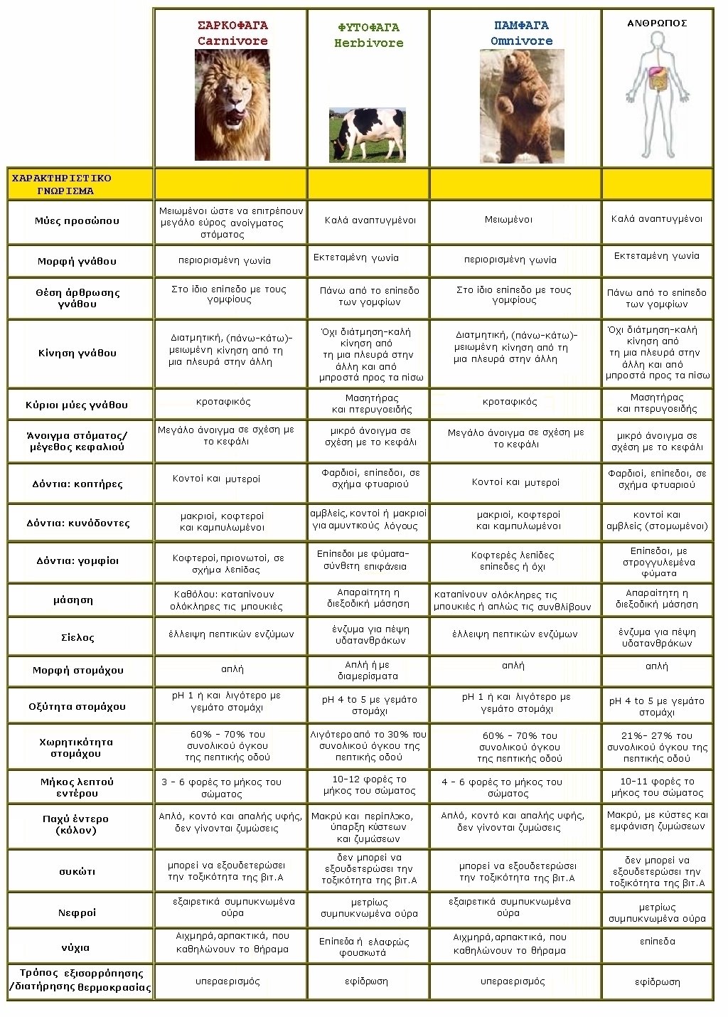 [digestive+system+comparison.jpg]