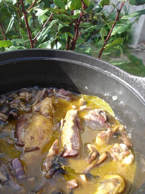 [pintade+cote+du+Rhone2.jpg]
