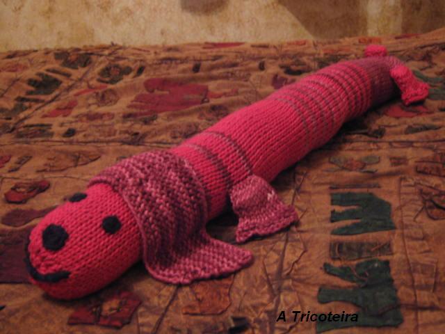 [cachorro+inteiro.JPG]