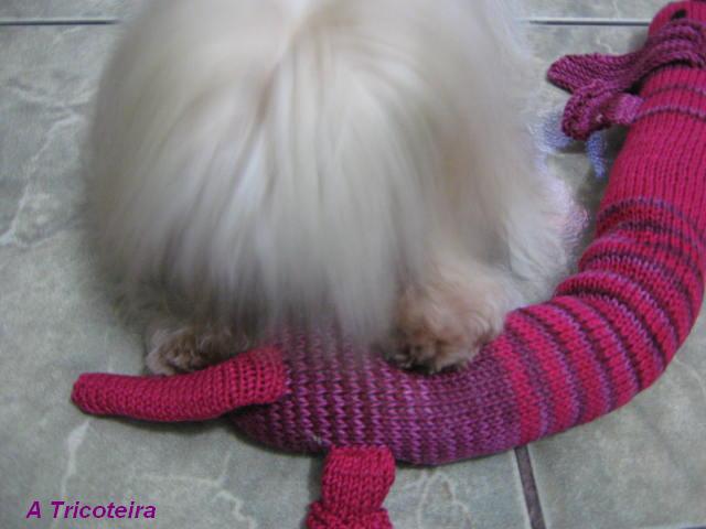 [cachorro+e+felicia+2.JPG]