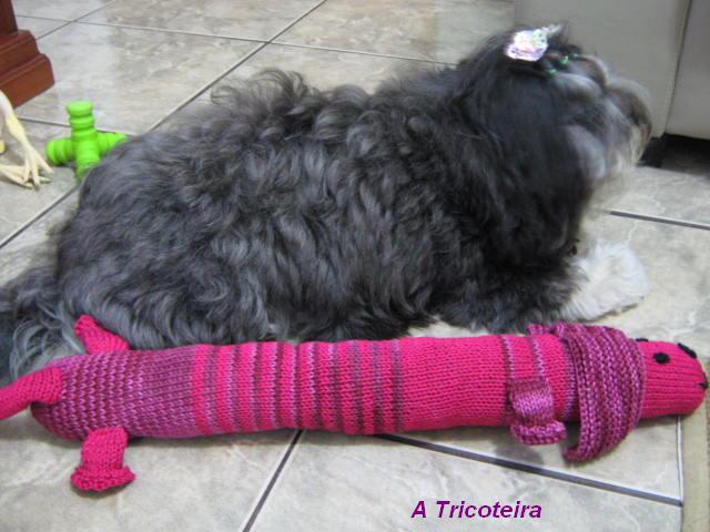 [cachorro+e+meg+1.JPG]