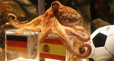 PAUL THE SOCCER-OCTOPUS IS DEAD!