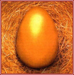 [golden-goose-egg.jpg]