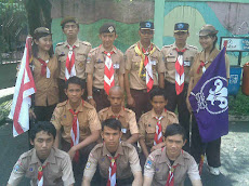 TMII scout