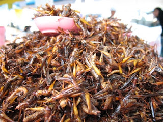 Insects for sale at the weekend market