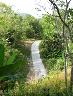 The back road in the hills