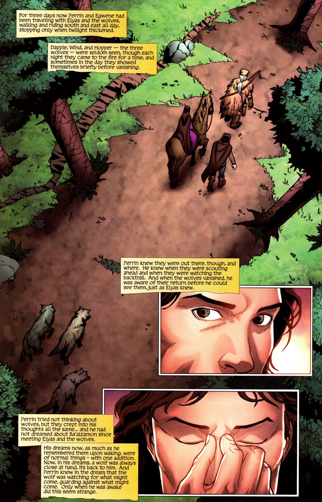 Robert Jordan's Wheel of Time: The Eye of the World issue 17 - Page 14