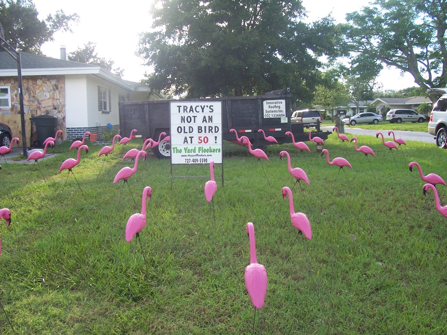 *THE YARD FLOCKERS* Pinellas County, Fla 7274095590 WWW