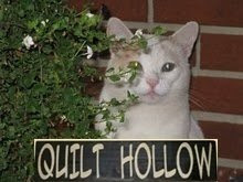 Quilt Hollow Blog