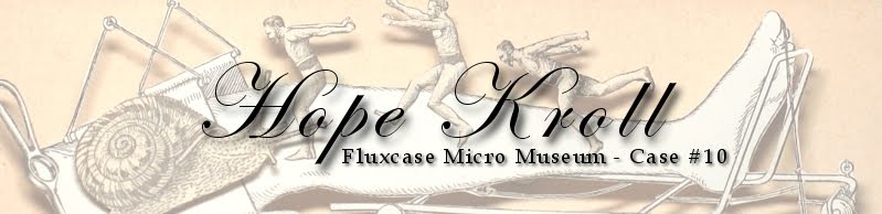 Fluxcase Micro Museum - Case #10