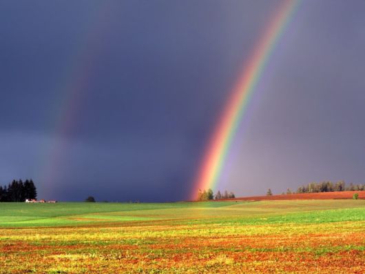 Rainbow Wallpapers | celebrity