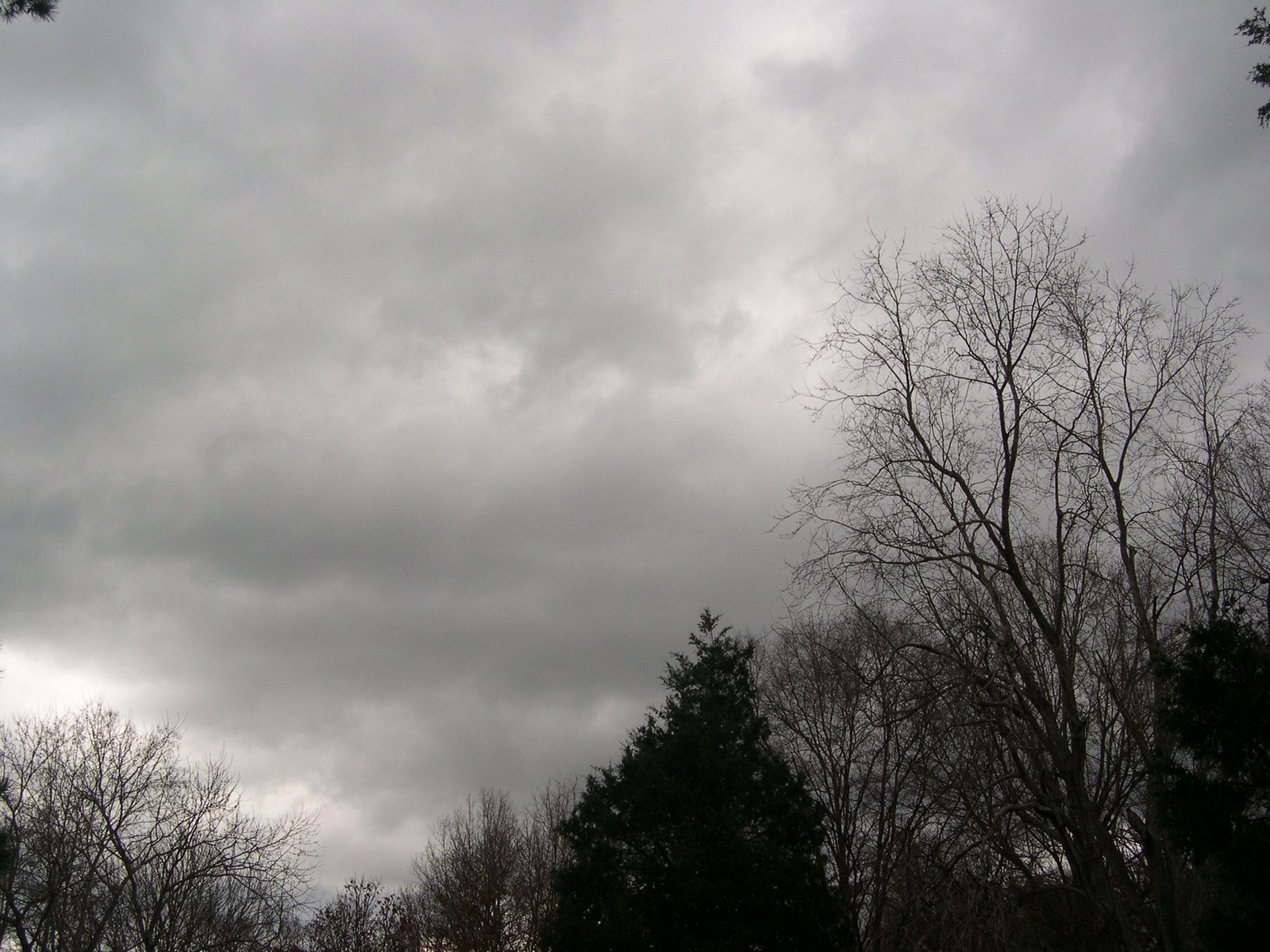 [January+Sky+09.jpg]