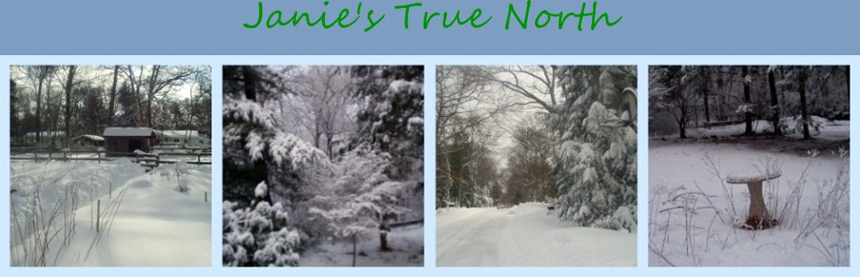 Janie's True North