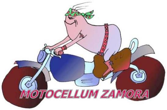 MOTOCELLUM