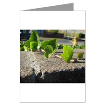 Online Catalog