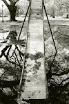 Audubon Park Slide