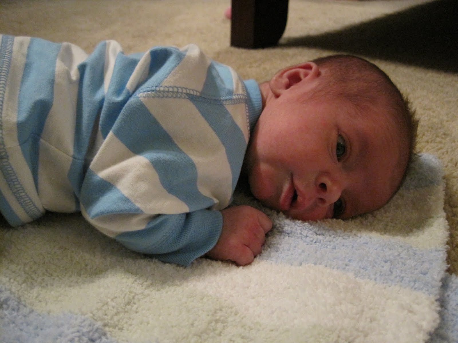 [IMG_0445.jpg]